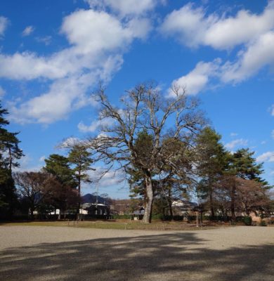 Carousel with Captions